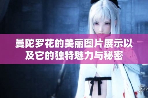 曼陀罗花的美丽图片展示以及它的独特魅力与秘密