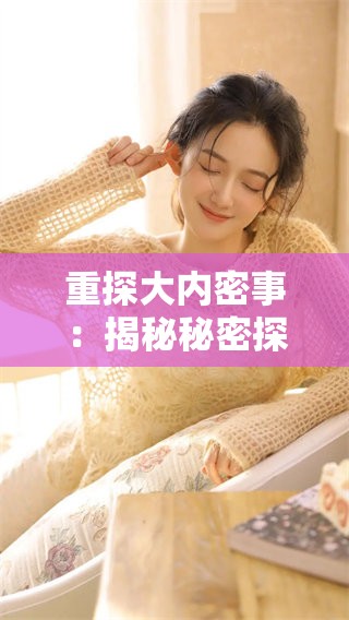 重探大内密事：揭秘秘密探员的传奇故事与冒险经历