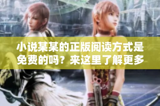 小说某某的正版阅读方式是免费的吗？来这里了解更多吧！