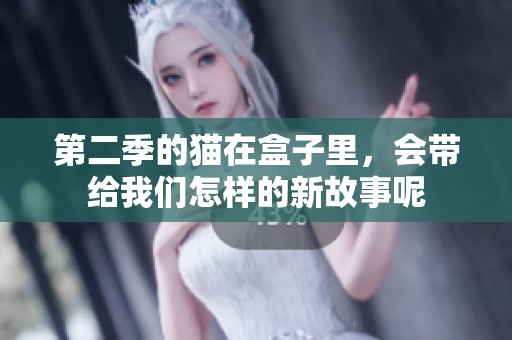 第二季的猫在盒子里，会带给我们怎样的新故事呢
