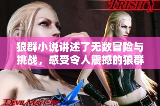 狼群小说讲述了无数冒险与挑战，感受令人震撼的狼群故事精彩纷呈