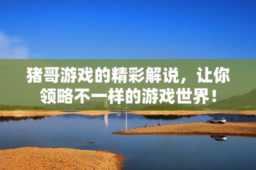 猪哥游戏的精彩解说，让你领略不一样的游戏世界！
