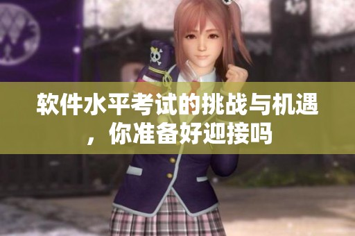 软件水平考试的挑战与机遇，你准备好迎接吗