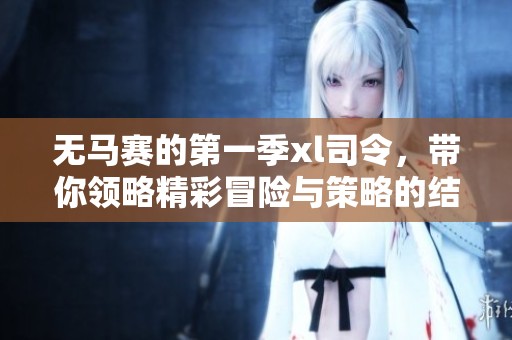 无马赛的第一季xl司令，带你领略精彩冒险与策略的结合