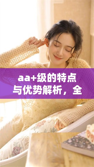 aa+级的特点与优势解析，全面展现aa+级的价值与应用领域