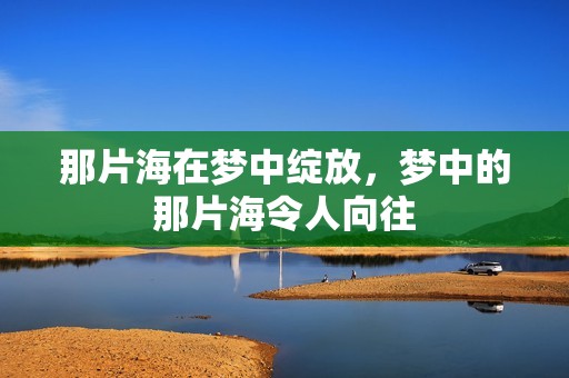 那片海在梦中绽放，梦中的那片海令人向往