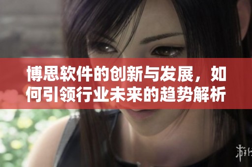 博思软件的创新与发展，如何引领行业未来的趋势解析