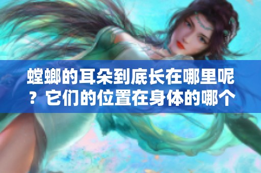 螳螂的耳朵到底长在哪里呢？它们的位置在身体的哪个部位呢？