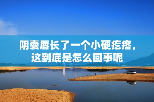 阴囊唇长了一个小硬疙瘩，这到底是怎么回事呢