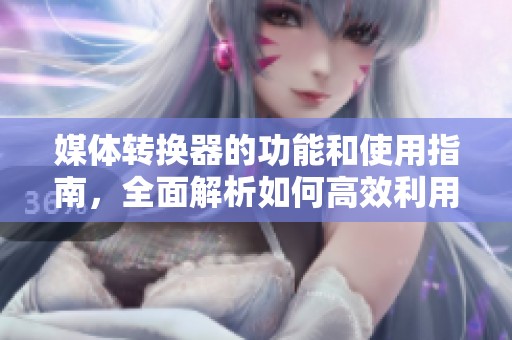 媒体转换器的功能和使用指南，全面解析如何高效利用媒体转换器