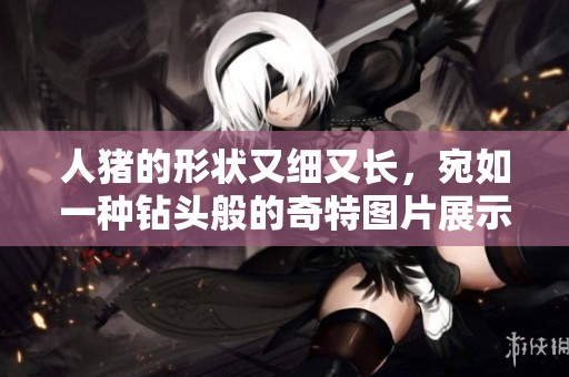 人猪的形状又细又长，宛如一种钻头般的奇特图片展示