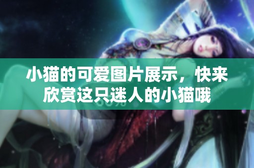 小猫的可爱图片展示，快来欣赏这只迷人的小猫哦