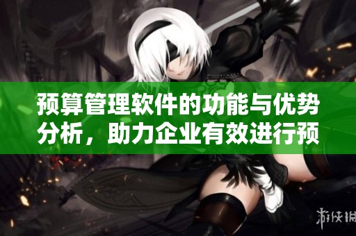 预算管理软件的功能与优势分析，助力企业有效进行预算管控