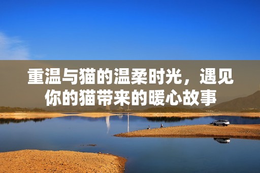 重温与猫的温柔时光，遇见你的猫带来的暖心故事