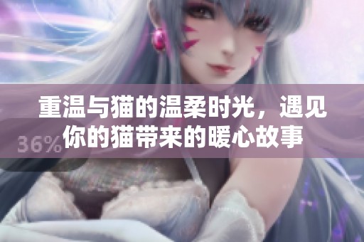 重温与猫的温柔时光，遇见你的猫带来的暖心故事