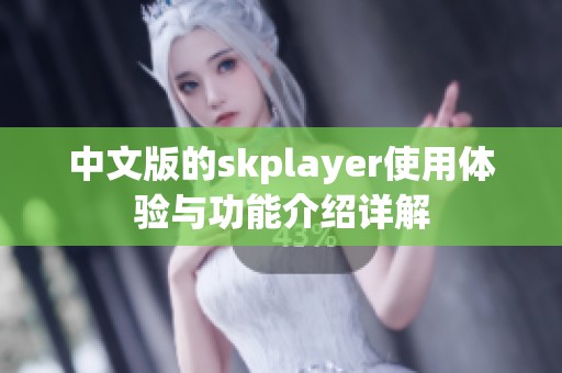 中文版的skplayer使用体验与功能介绍详解