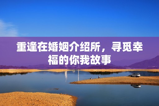 重逢在婚姻介绍所，寻觅幸福的你我故事