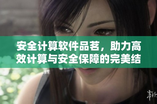安全计算软件品茗，助力高效计算与安全保障的完美结合