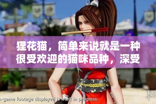 狸花猫，简单来说就是一种很受欢迎的猫咪品种，深受很多人喜爱。