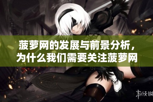 菠萝网的发展与前景分析，为什么我们需要关注菠萝网的这些变化