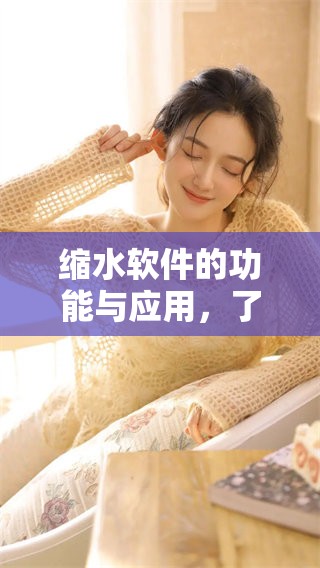 缩水软件的功能与应用，了解这一工具对文件处理的影响