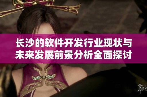 长沙的软件开发行业现状与未来发展前景分析全面探讨
