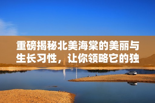 重磅揭秘北美海棠的美丽与生长习性，让你领略它的独特魅力