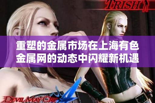 重塑的金属市场在上海有色金属网的动态中闪耀新机遇
