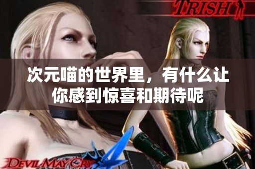 次元喵的世界里，有什么让你感到惊喜和期待呢