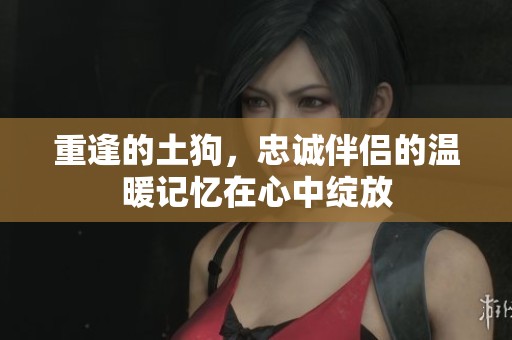 重逢的土狗，忠诚伴侣的温暖记忆在心中绽放