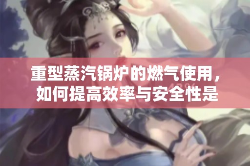 重型蒸汽锅炉的燃气使用， 如何提高效率与安全性是关键问题