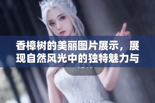 香樟树的美丽图片展示，展现自然风光中的独特魅力与韵味