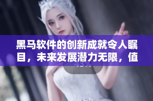 黑马软件的创新成就令人瞩目，未来发展潜力无限，值得关注！
