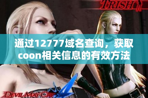 通过12777域名查询，获取coon相关信息的有效方法探讨