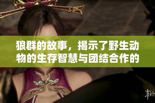 狼群的故事，揭示了野生动物的生存智慧与团结合作的重要性