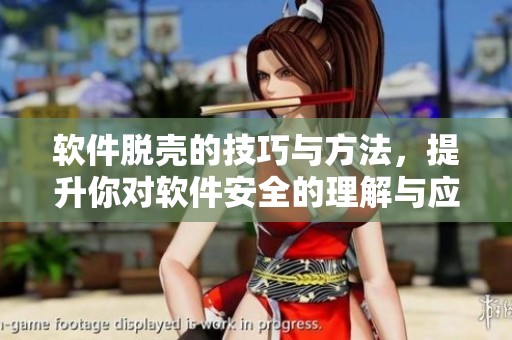 软件脱壳的技巧与方法，提升你对软件安全的理解与应用