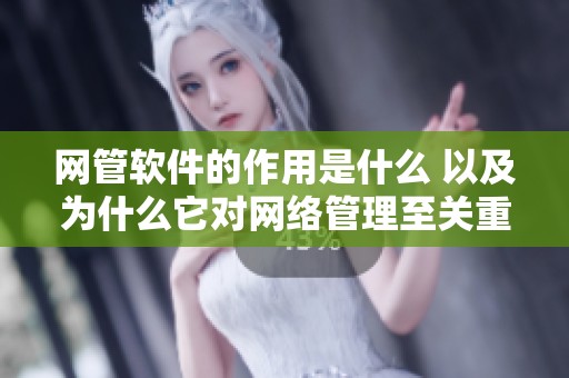 网管软件的作用是什么 以及为什么它对网络管理至关重要
