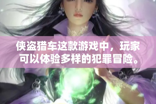 侠盗猎车这款游戏中，玩家可以体验多样的犯罪冒险。