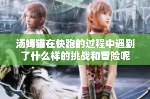 汤姆猫在快跑的过程中遇到了什么样的挑战和冒险呢