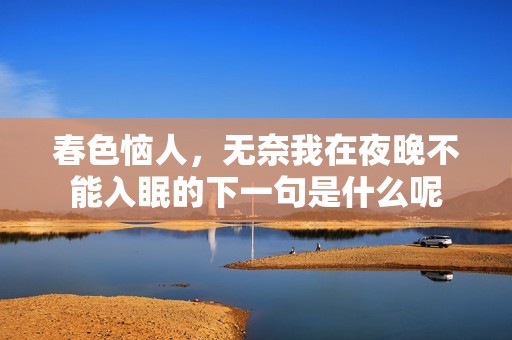 春色恼人，无奈我在夜晚不能入眠的下一句是什么呢