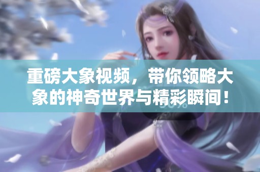 重磅大象视频，带你领略大象的神奇世界与精彩瞬间！