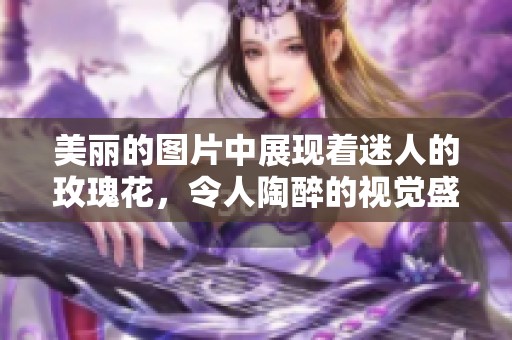 美丽的图片中展现着迷人的玫瑰花，令人陶醉的视觉盛宴