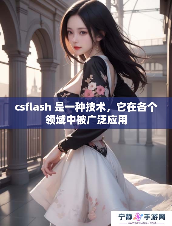 csflash 是一种技术，它在各个领域中被广泛应用