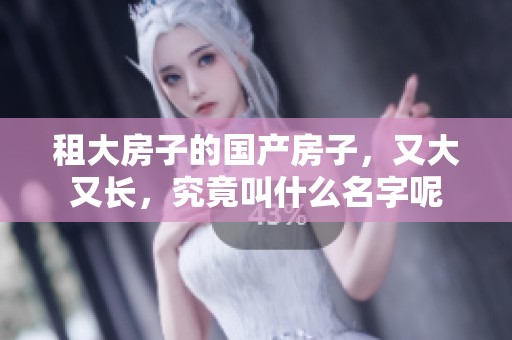 租大房子的国产房子，又大又长，究竟叫什么名字呢
