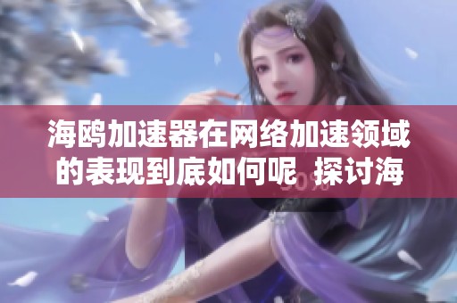 海鸥加速器在网络加速领域的表现到底如何呢  探讨海鸥加速器的优势与使用体验