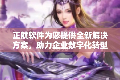 正航软件为您提供全新解决方案，助力企业数字化转型与发展