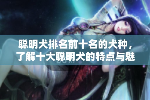 聪明犬排名前十名的犬种，了解十大聪明犬的特点与魅力