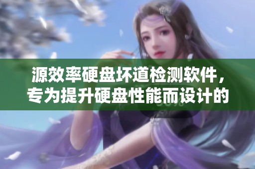 源效率硬盘坏道检测软件，专为提升硬盘性能而设计的利器
