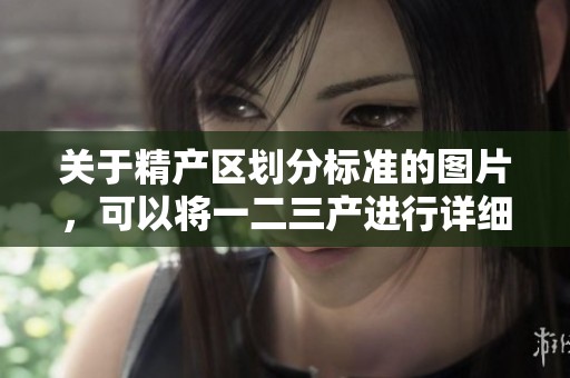 关于精产区划分标准的图片，可以将一二三产进行详细分类说明