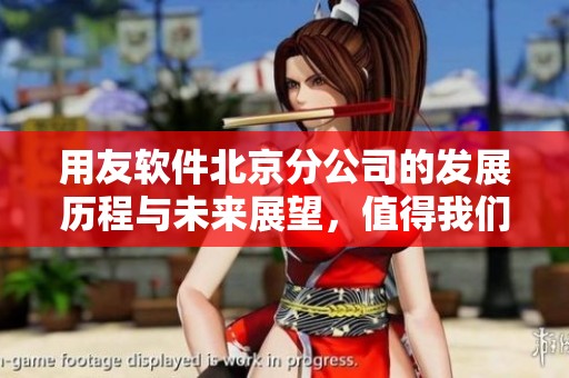 用友软件北京分公司的发展历程与未来展望，值得我们深入探讨与关注